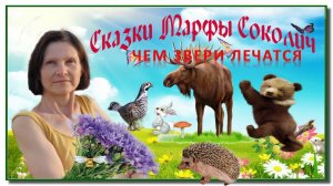 Чем звери лечатся