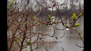 Иеромонах Роман, монах Афанасий (Кокорев). «Придёт пора, и поведут на Суд…»