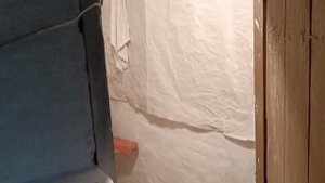 Родовой дом в деревне. Мастерская пчеловода.