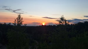 Поход! Тамбов! Сделал кормушку для птиц! Готовлю макароны ПО-ФЛОТСКИ! #Тамбов #поход #лес