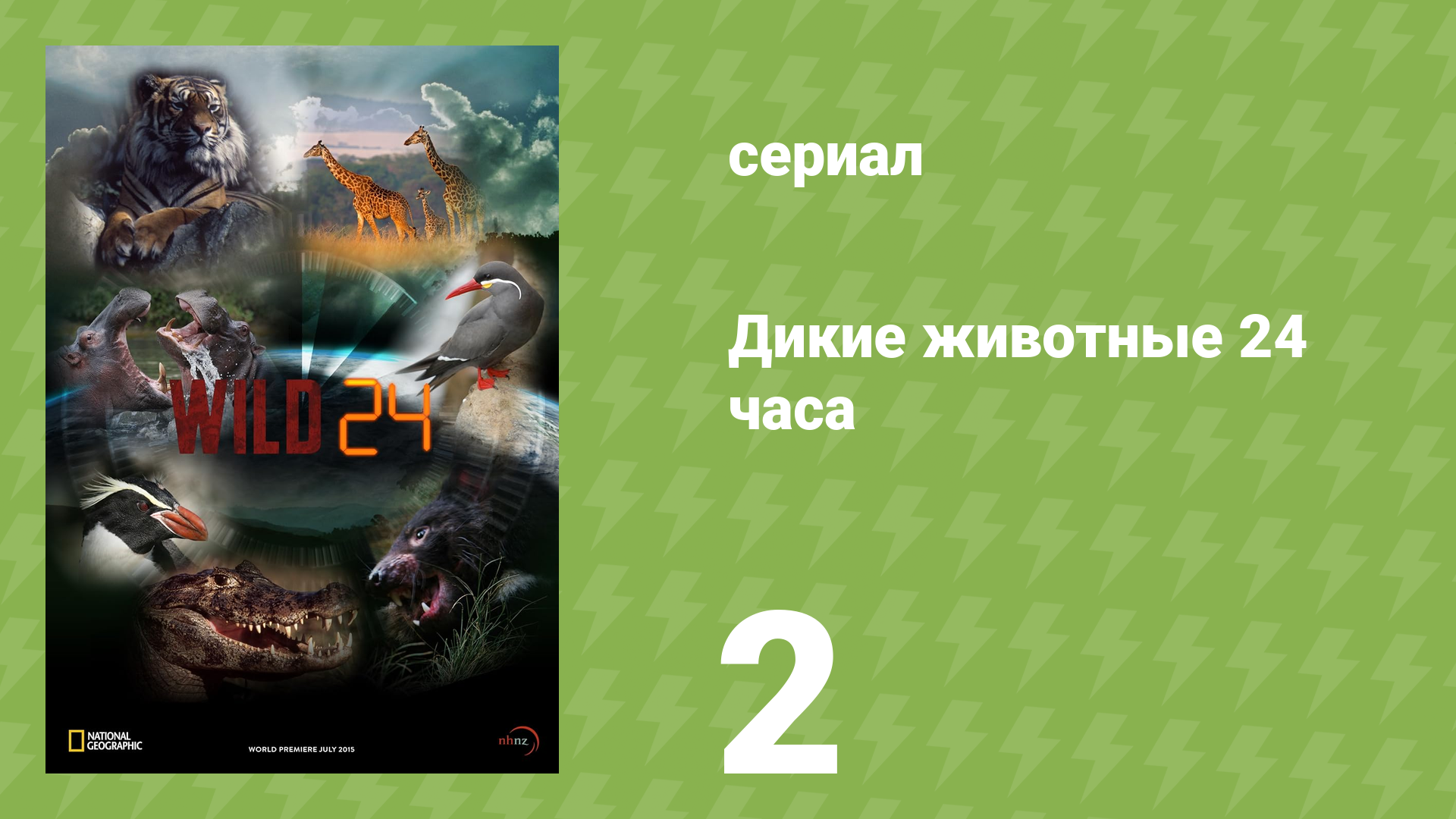 Дикие животные 24 часа 1 сезон 2 серия «Пустыня Атакама» (документальный сериал, 2015)