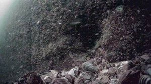 1000046278.mp4Волга гл.5м.11.07.2025г.
