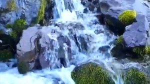 ЗВУКИ ПРИРОДЫ Журчание воды пение птиц ШУМ ГОРНОГО ВОДОПАДА РЕКИ