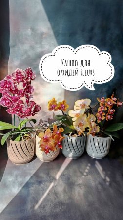 Мои новые кашпо для орхидей от La Decoro с WB 🥰 Пластиковая вставка внутри и стильные прорези