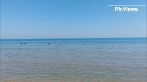 Анапа пляж Витязево сегодня 12 июля 2025. Море, погода в Анапе сейчас. Есть ли мазут на пляжах Анапы