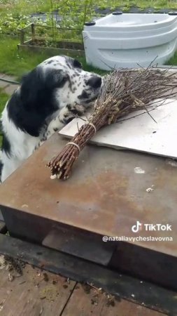 Все я  в доме уберу...)))