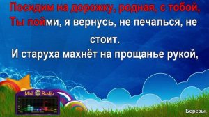 Берёзы (караоке)