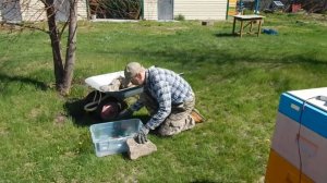 Втемяшится в башку какая блажь