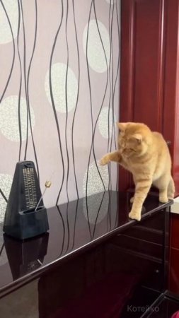 Нервный тик. Когда нервы на пределе