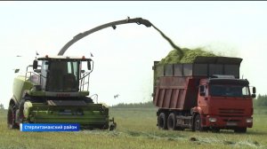 В Башкортостане активно идет кормозаготовка