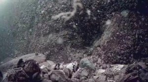 1000046277.mp4Волга гл.5м.11.07.2025г.