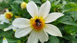 Жара под 40🌞/ Делюсь прекрасной Находкой/ Заказ с WB🛍️