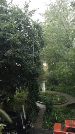 Ура! В Москве дождь!!!