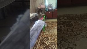 драконы на руку название песни в комментариях