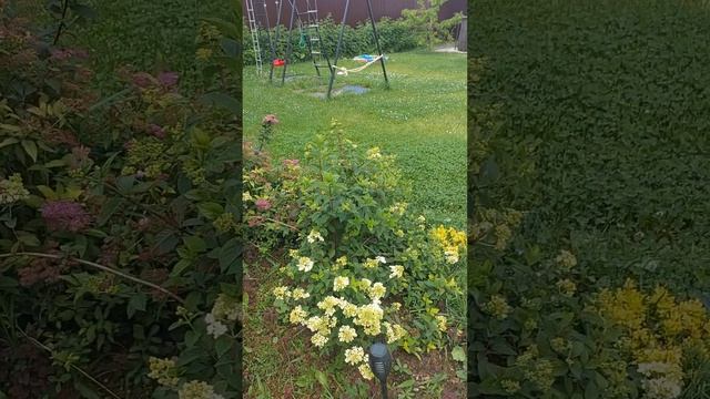 Во всём есть своё провидение