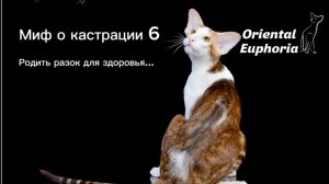Миф о кастрации 6
Родить разок для здоровья..