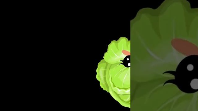 1000094434.mp4