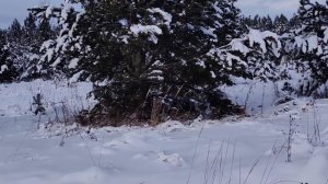 Зима в деревне