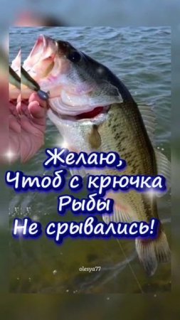 С днём рыбака. Музыкальная открытка поздравление.