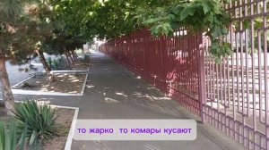 Утренняя прогулка