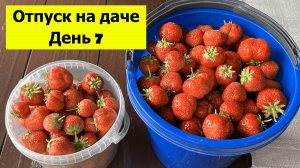 Отпуск на даче День 7. Мои успехи после Дня Рожденья
