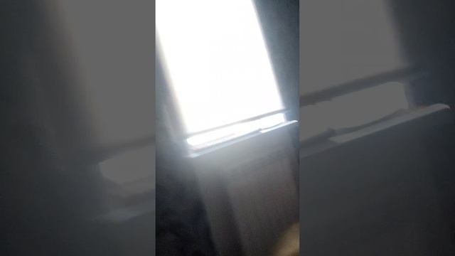 я в отпуске 2