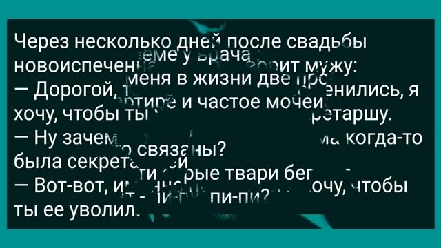 Муж Застал Жену с Кумом в Сарае! Сборник Свежих Анекдотов! Юмор