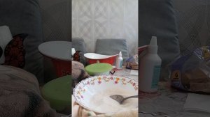 Big_sam и Валера. Делать ерунду 🤦♂️🤦♂️