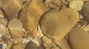 Азовское море