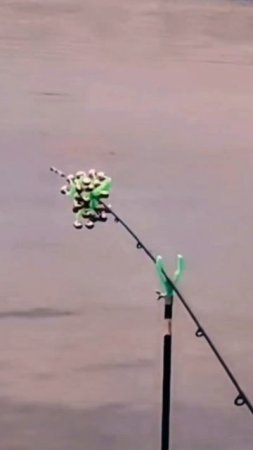 1000016825.mp4