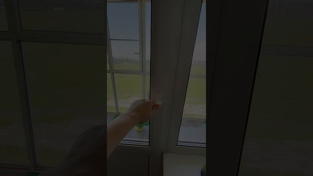 ЖК Мурино 2019