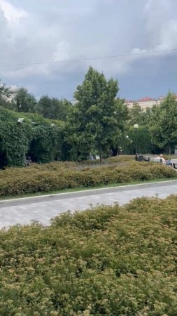 На небольшом камерном концерте в саду им Баумана