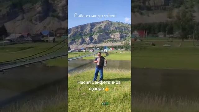 Насип Сәйфетдинов