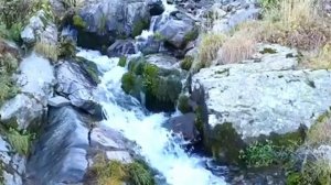 ЗВУКИ ПРИРОДЫ Журчание воды пение птиц ШУМ ГОРНОГО ВОДОПАДА РЕКИ