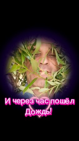 ИВА ПЛАКУЧАЯ СПРЯЧЬ МЕНЯ! #ива #деревня #дача #красота