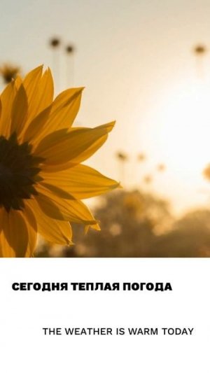Тёплый