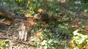 мотоцикл тула испытания продолжаются