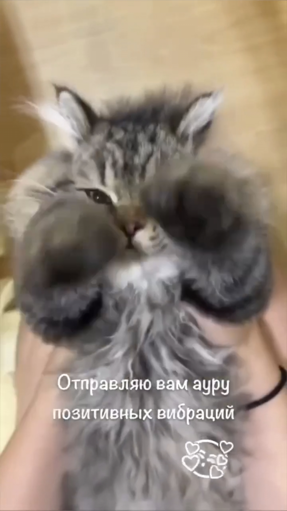 Аура позитивных вибраций