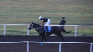 Приз Главы Якутии - 2025. ХОРЕЗМ ХАРАЧОЙ!!!