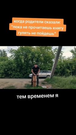 когда хочешь отпроситься гулять
