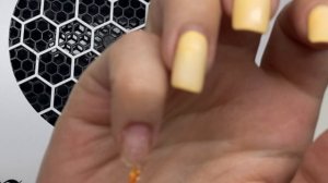 Выкраска новых гель лаков. Foxy ex. коллекция "Desert", AsiBonBon 6 нежных жемчужных оттенков