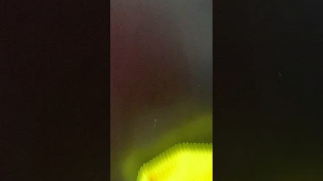 12-07-2025