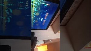 проходим гд заходи