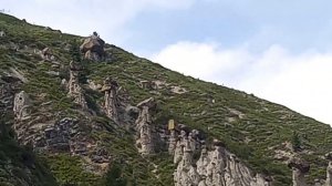 Алтай Телецкое озеро, Чулышман, Каменные грибы 14 июня 2025 г.