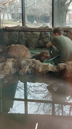 зоопарк