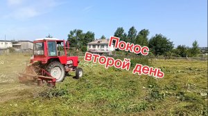 Покос второй день
