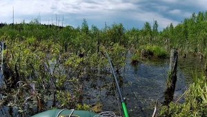 Заякинцы.Карп на мормышку 10.07.2025.mp4