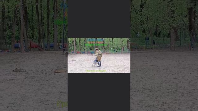 Военно-Историческая реконструкция "Ожившие подвиги собак-героев ВОВ"
#видео #собаки_герои #вов
Добро