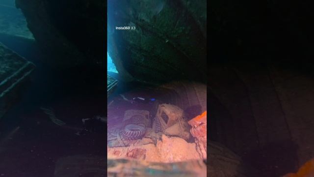 Дайвинг на затонувший корабль SS THISTLEGORM, Египет Шарм-аль-Шейх 2025