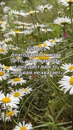 Мудрые слова